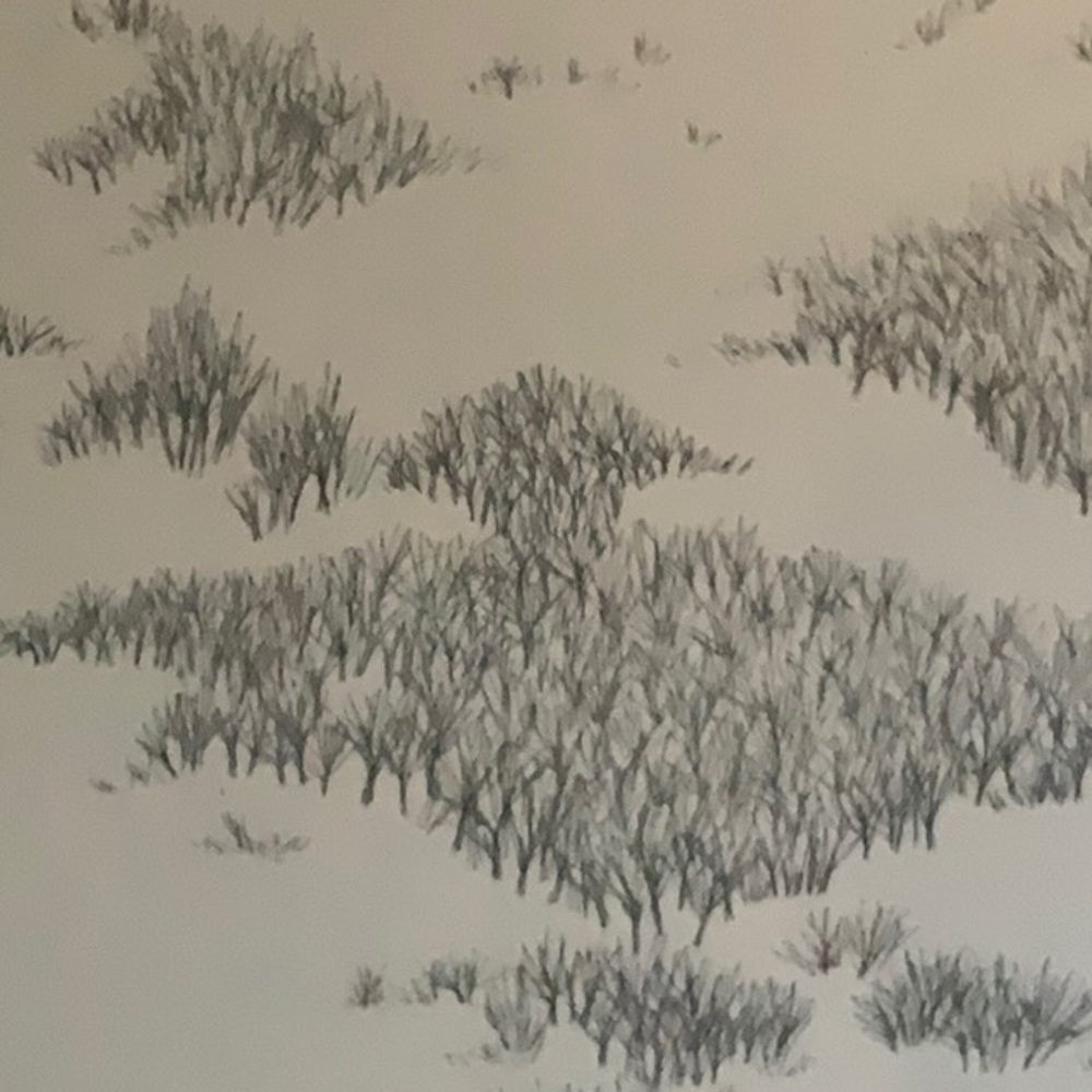 Tundra Wallpaper
